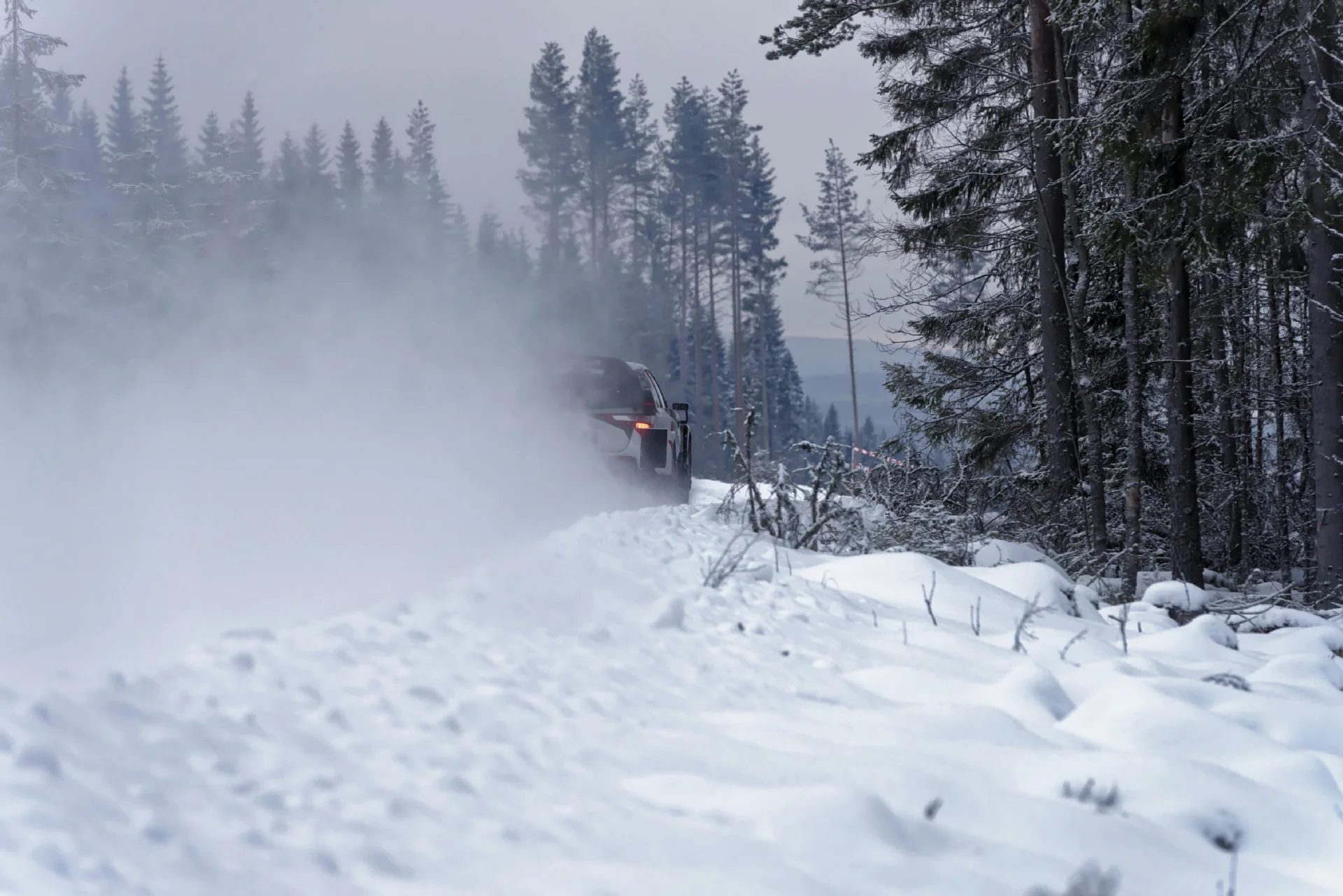 WRC 3_5_web.jpg
