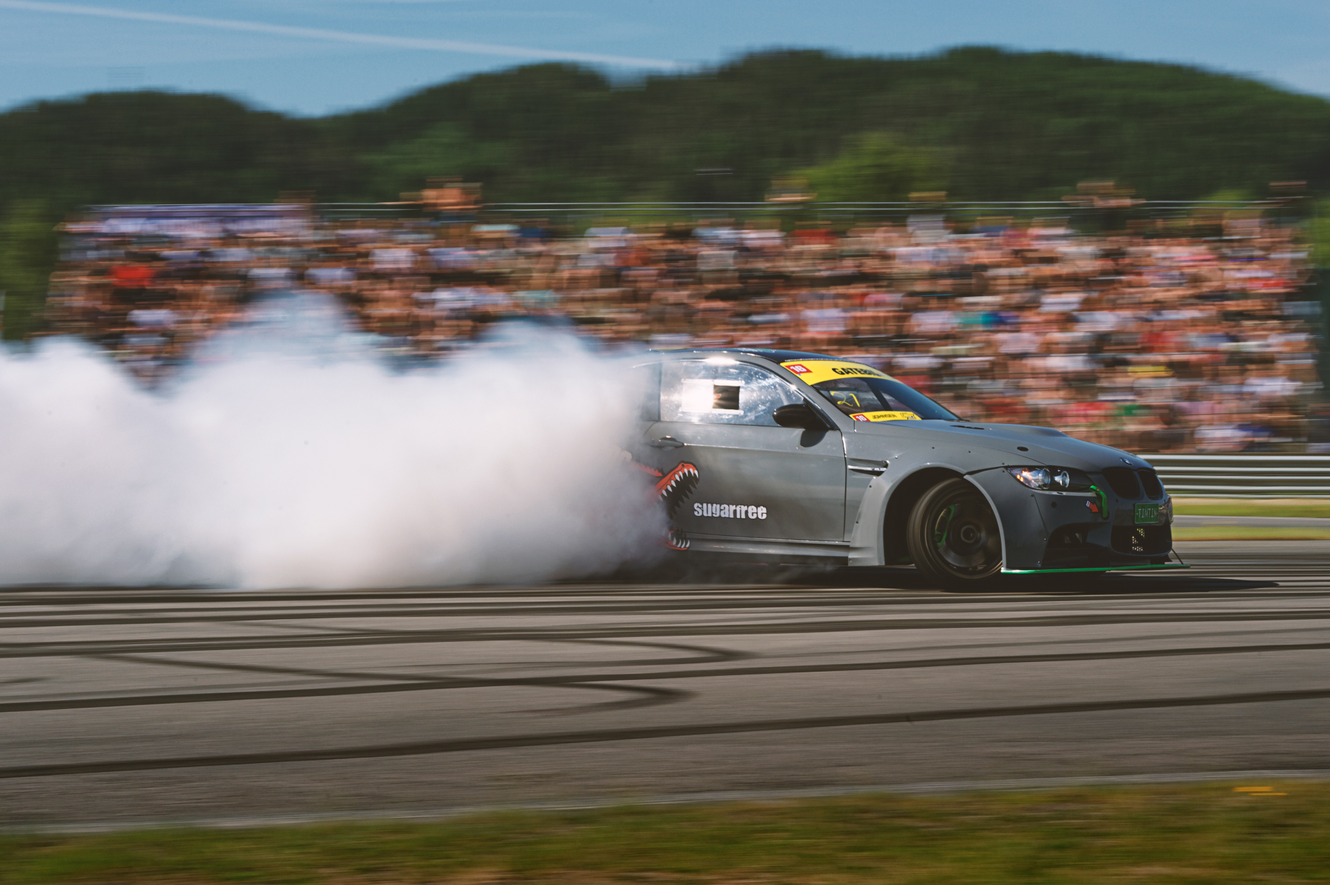 SPT_8186_web copy.jpg