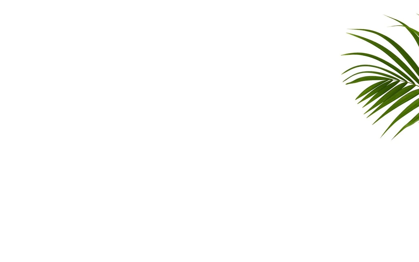 palm-right-bg.jpg