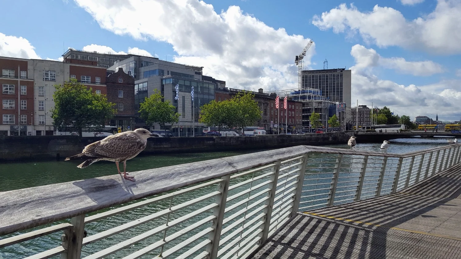 Dublin