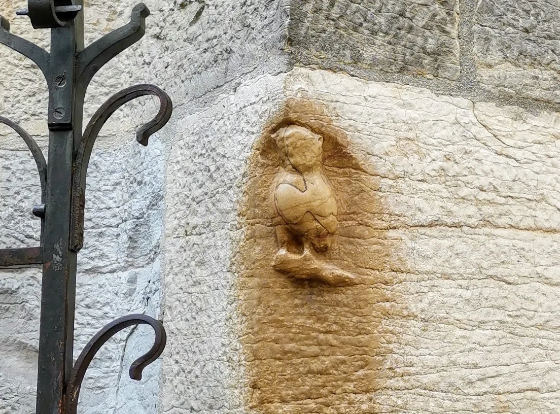 Dijon Magic Owl