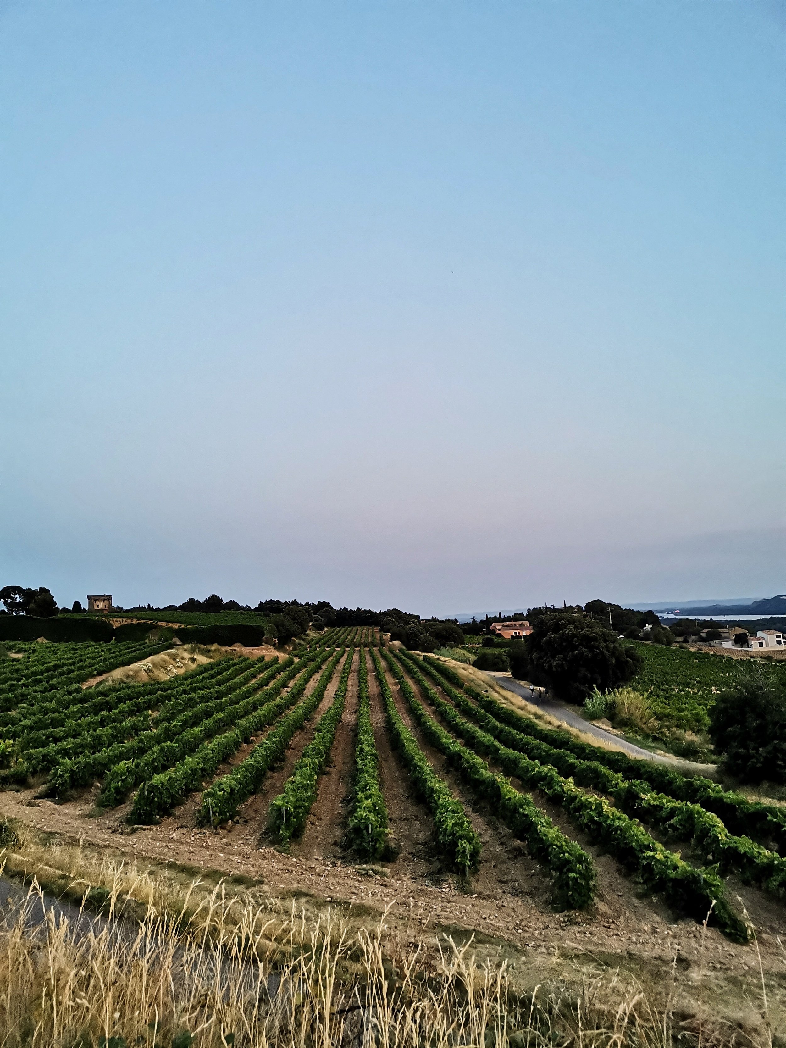 Le Glorieux Roadtrip Chateauneuf Du Pape Eat Something Go Somewhere Le Glorieux Roadtrip Chateauneuf Du Pape Eat Something Go Somewhere