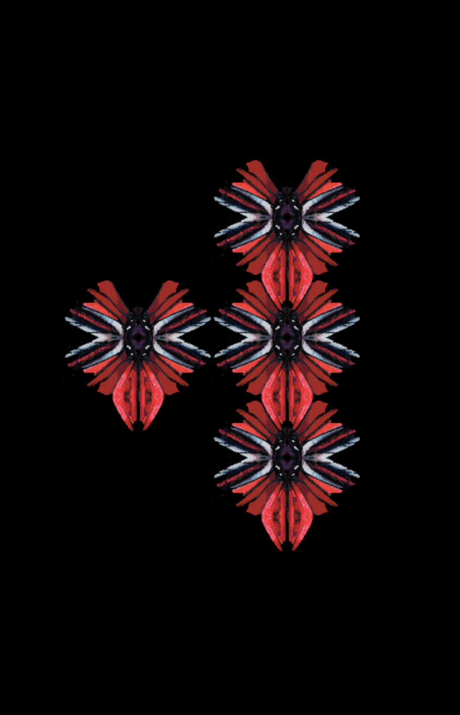 Screenshot 2026-01-04 at 2.07.50 PM.png