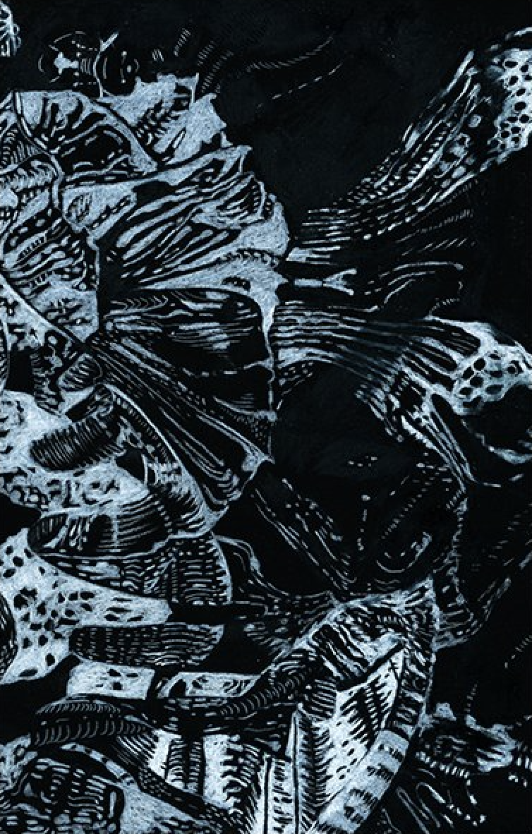 Screenshot 2026-01-08 at 12.01.38 PM.png