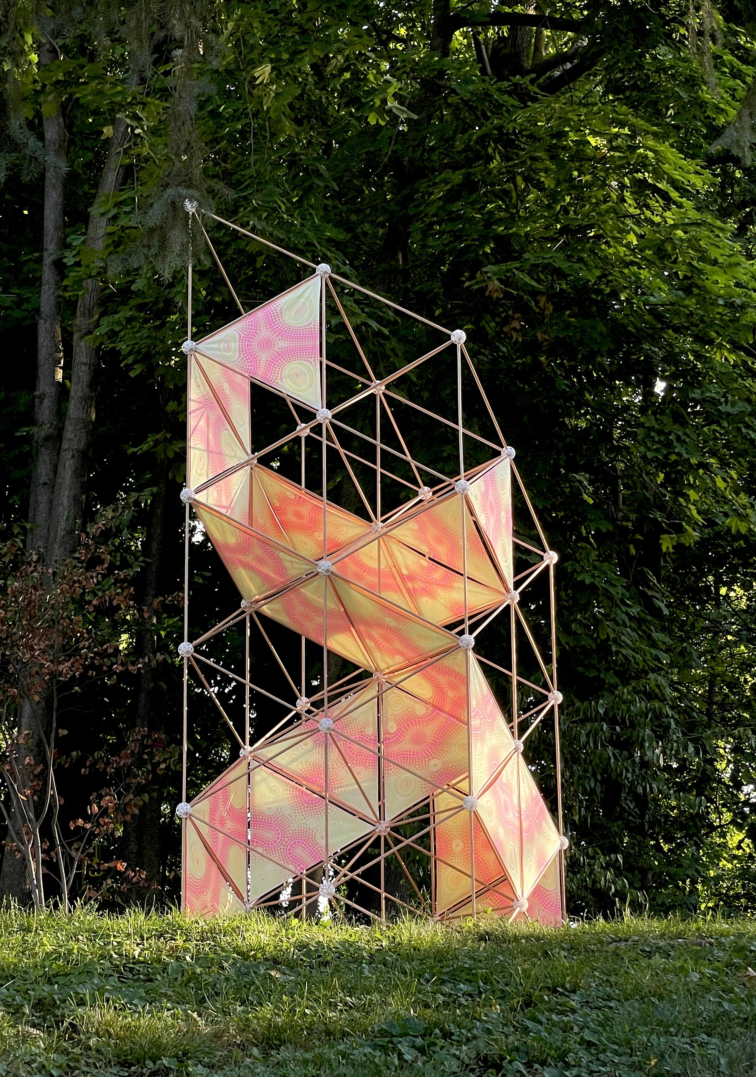 02 Response Patterns Structure 2022.jpg