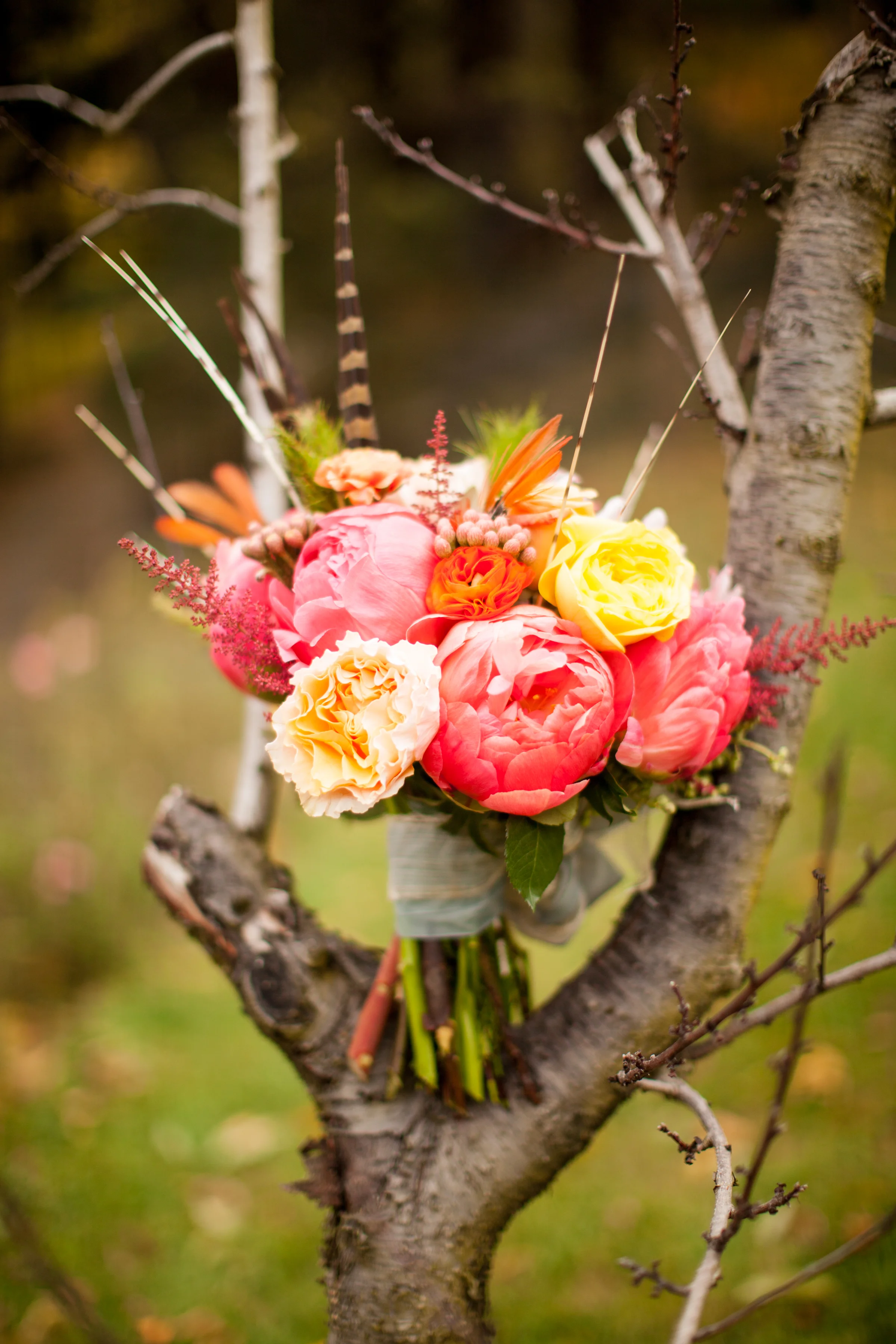 Bright coral charm peony bouquet