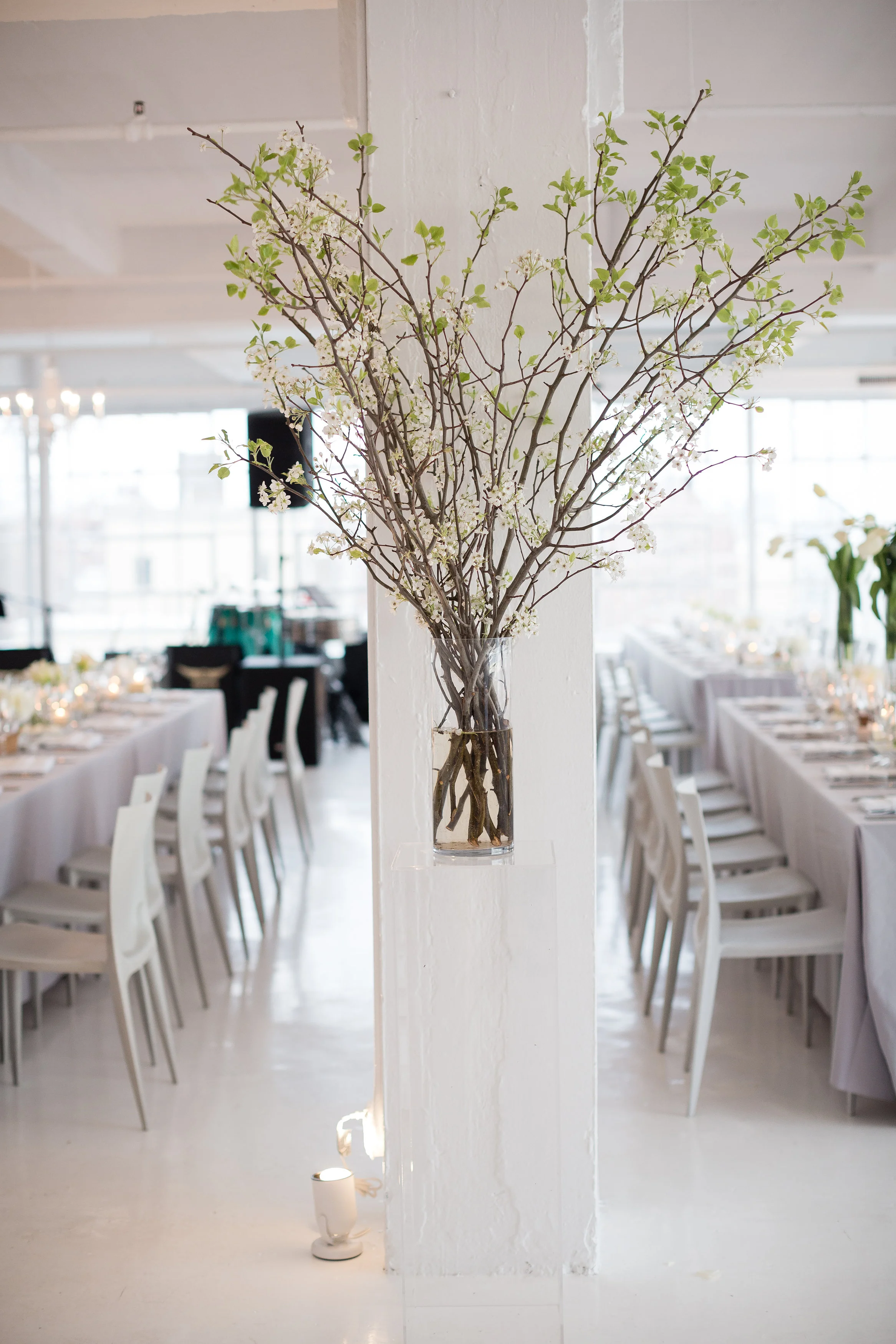Pear branches