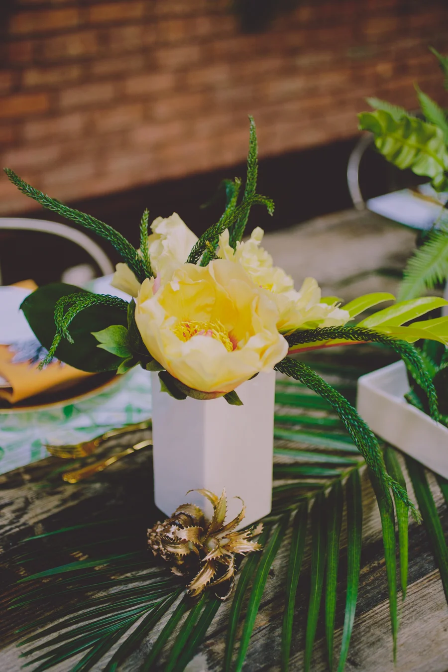 Yellow tree peony