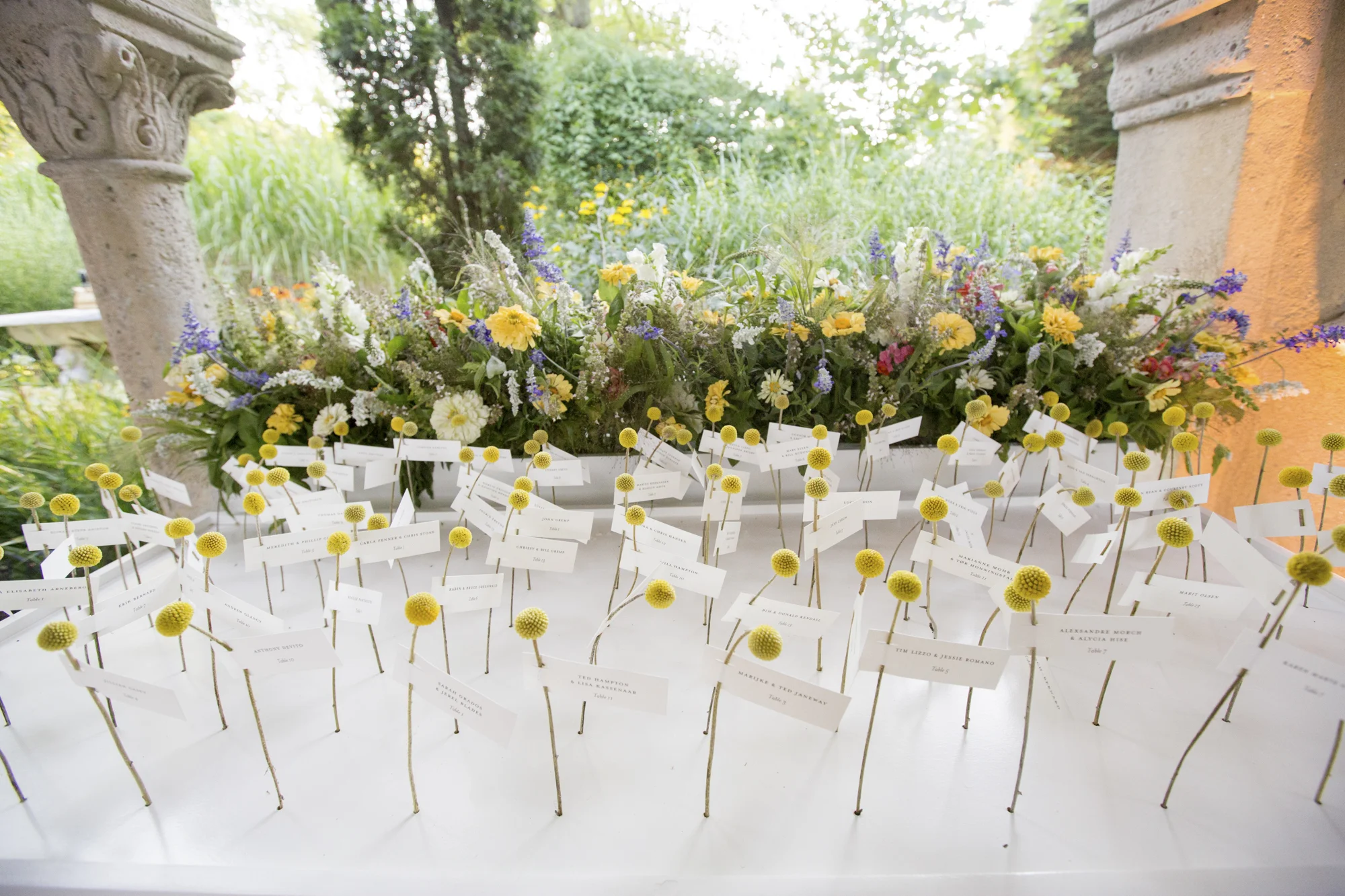 Craspedia escort card display