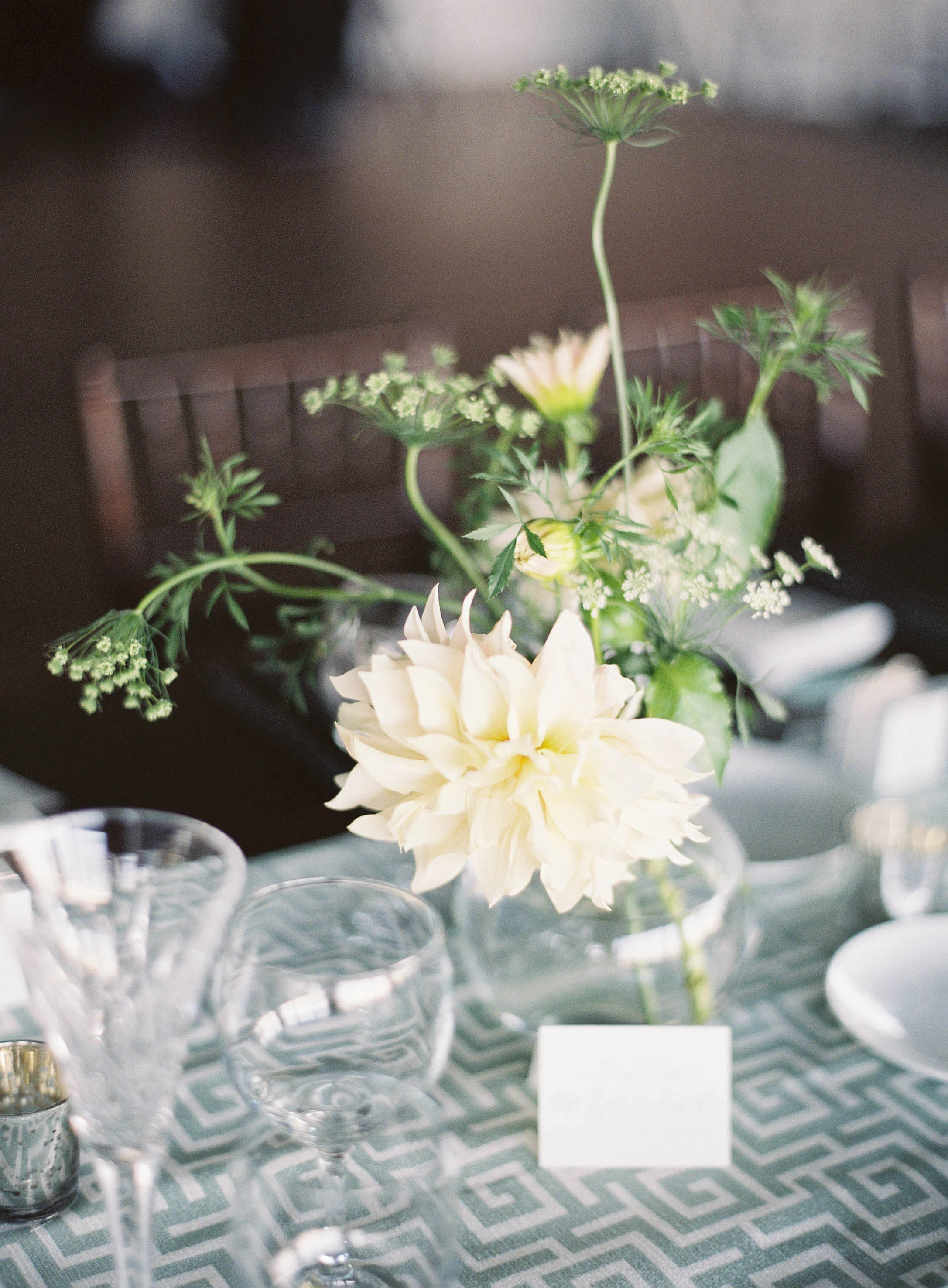 Cafe au lait dahlias