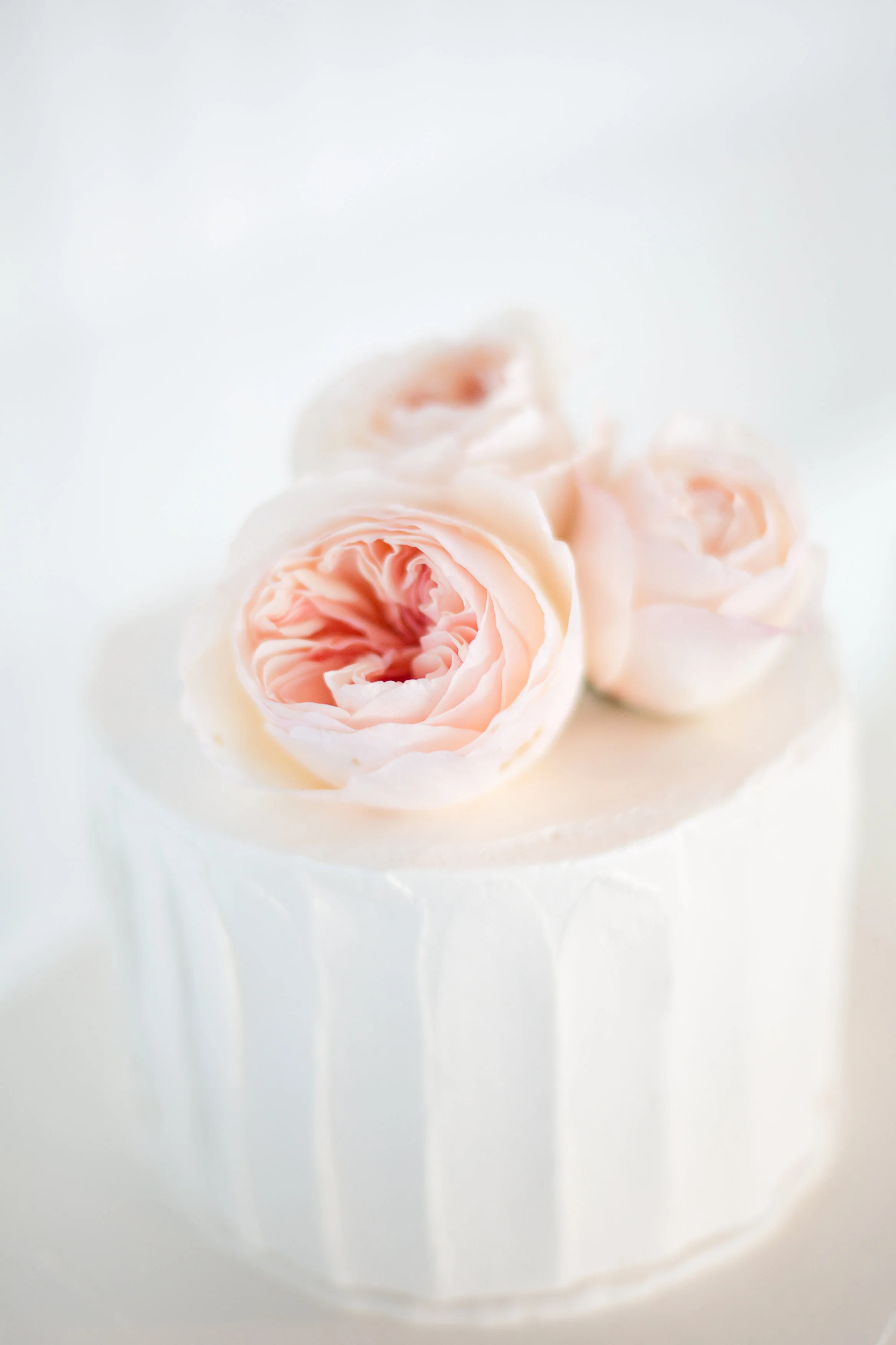 Juliet roses on wedding cake