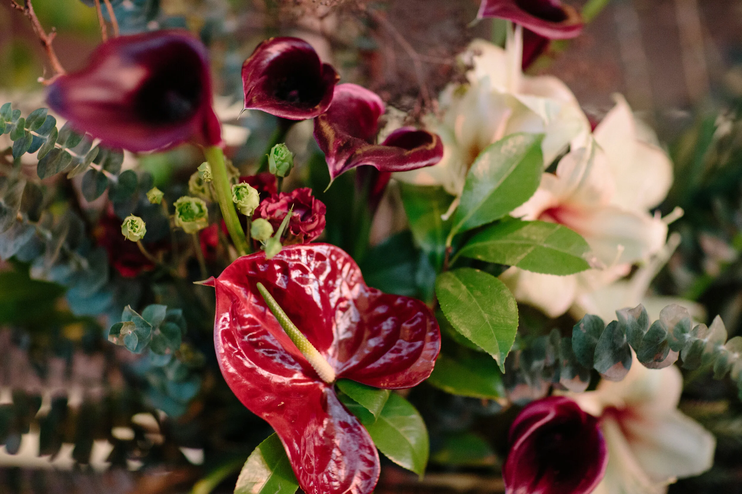 A_E_Wedding0494.jpg