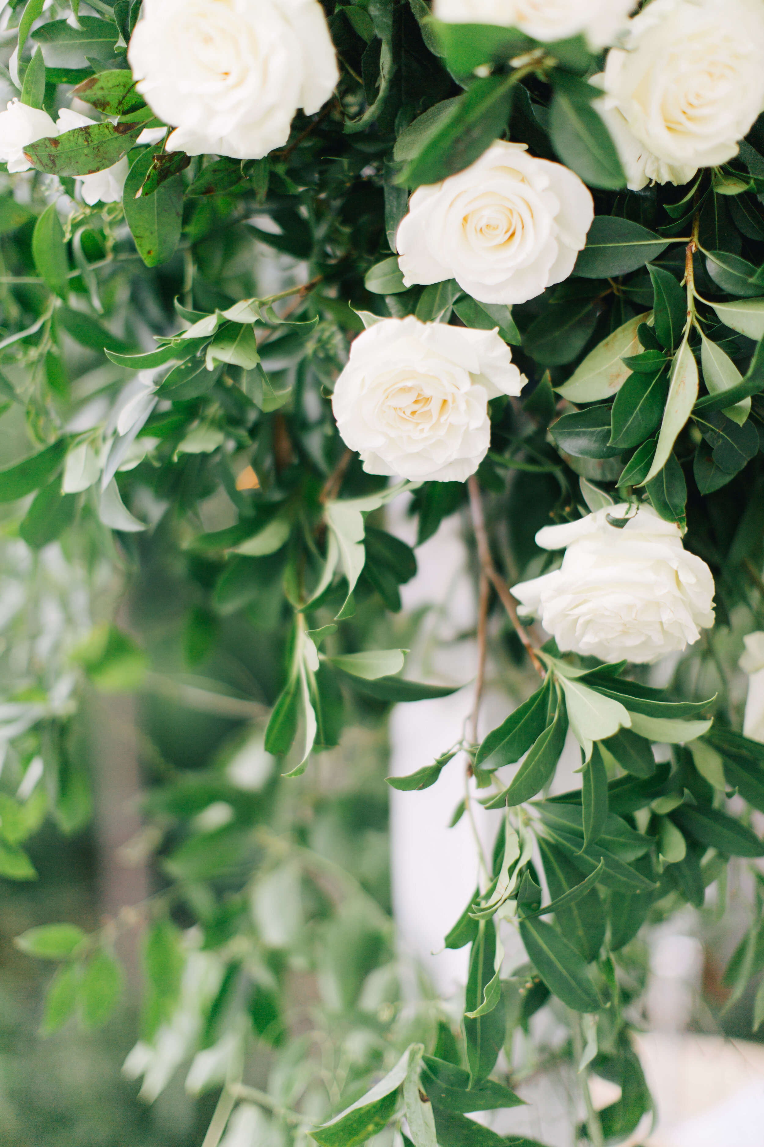 RACHEL + ALP // One Hotel // Brooklyn, NY