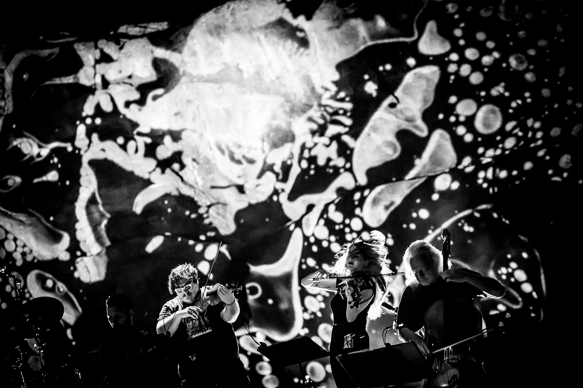 PORTUGALTHEMAN008.JPG