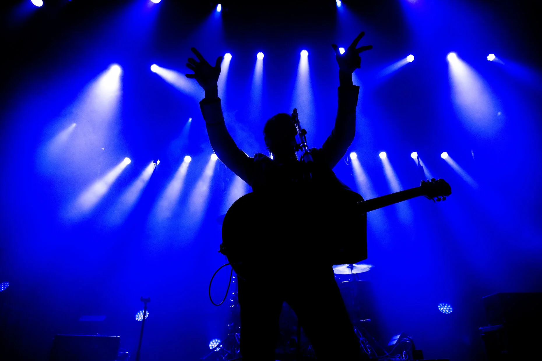 SILVERSUN PICKUPS + ELIZA &amp; THE DELUSIONALS