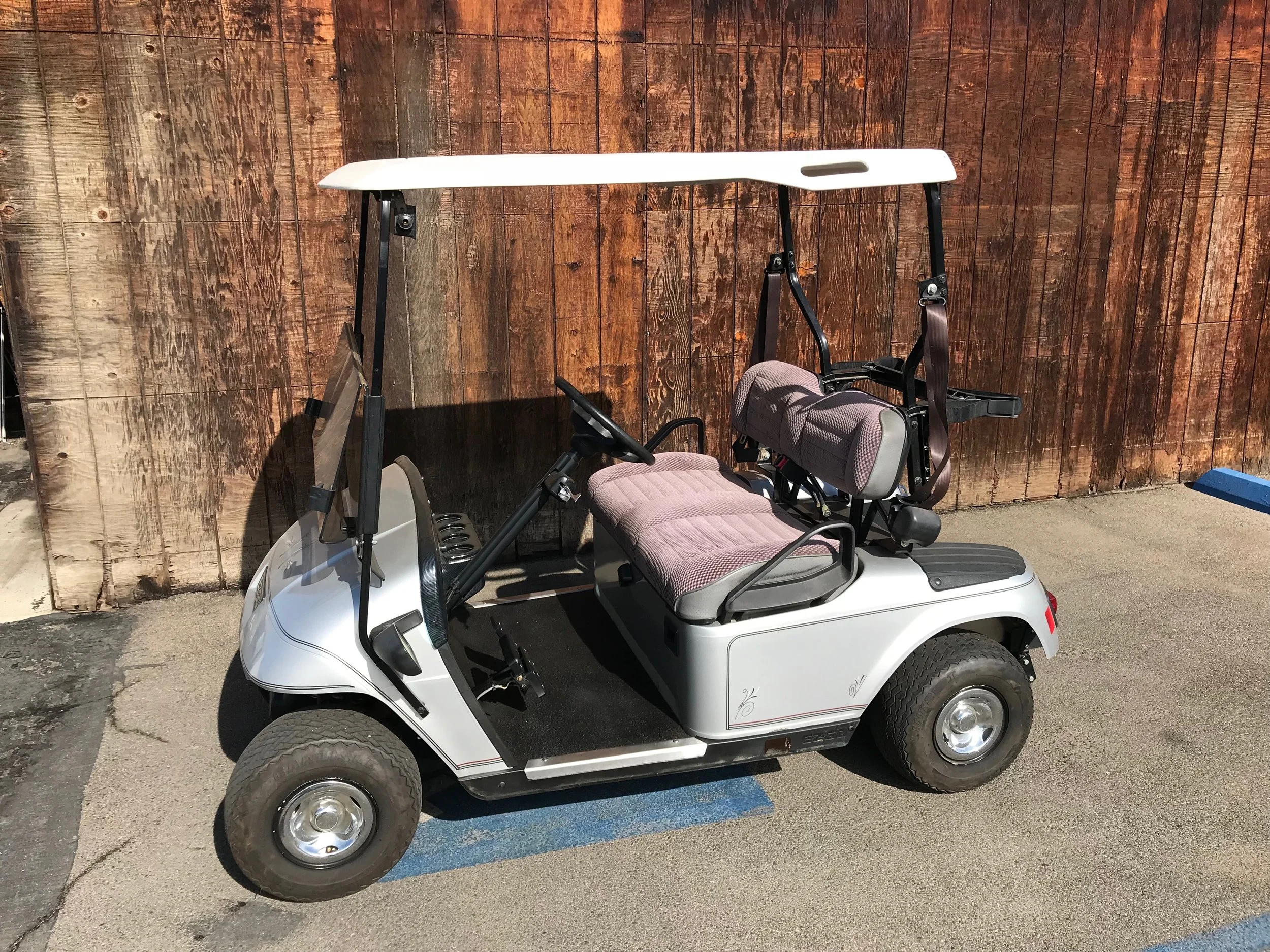 Silver E-Z-Go TXT