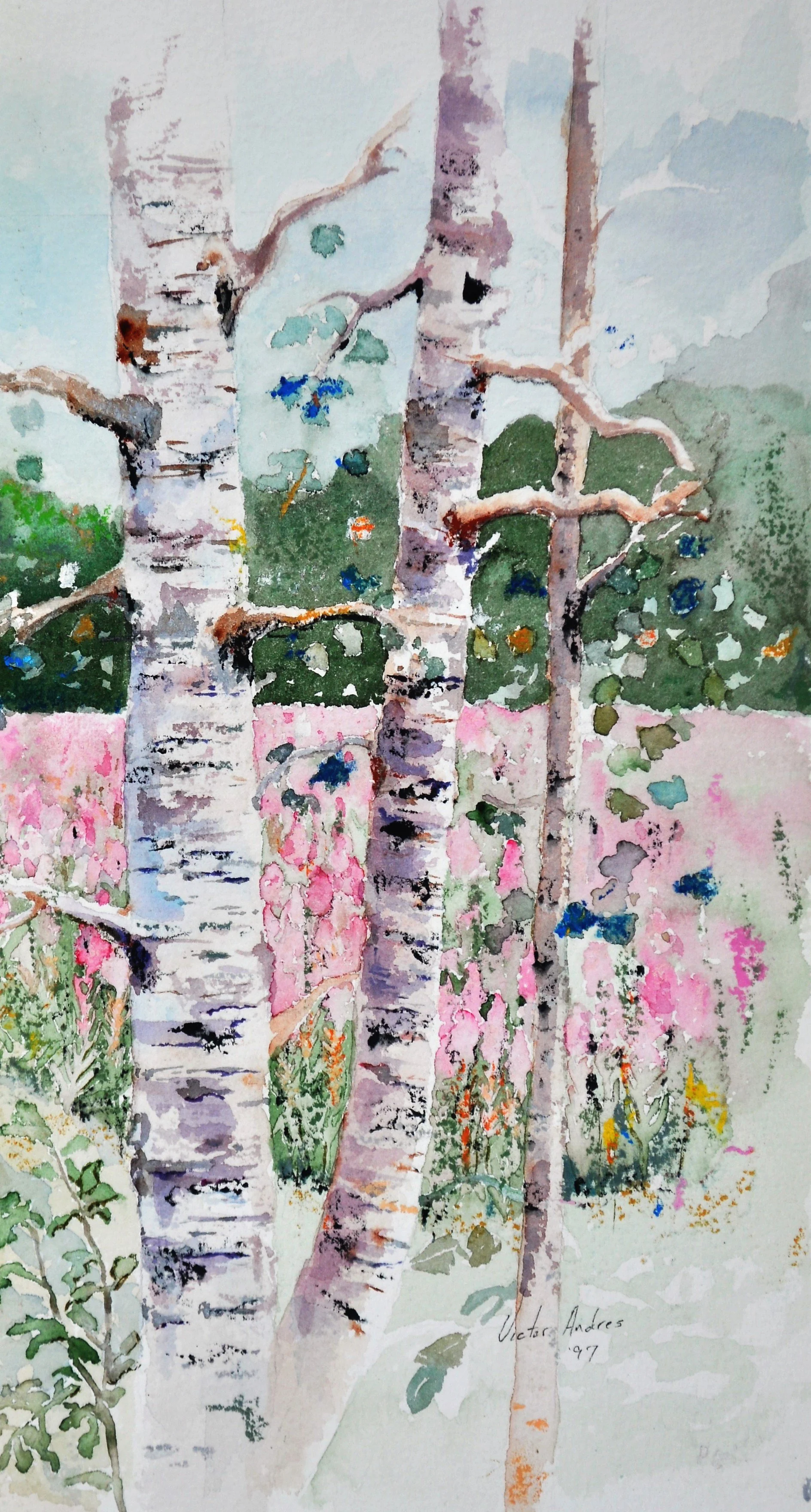 Birch and Fireweed PRINT.jpg