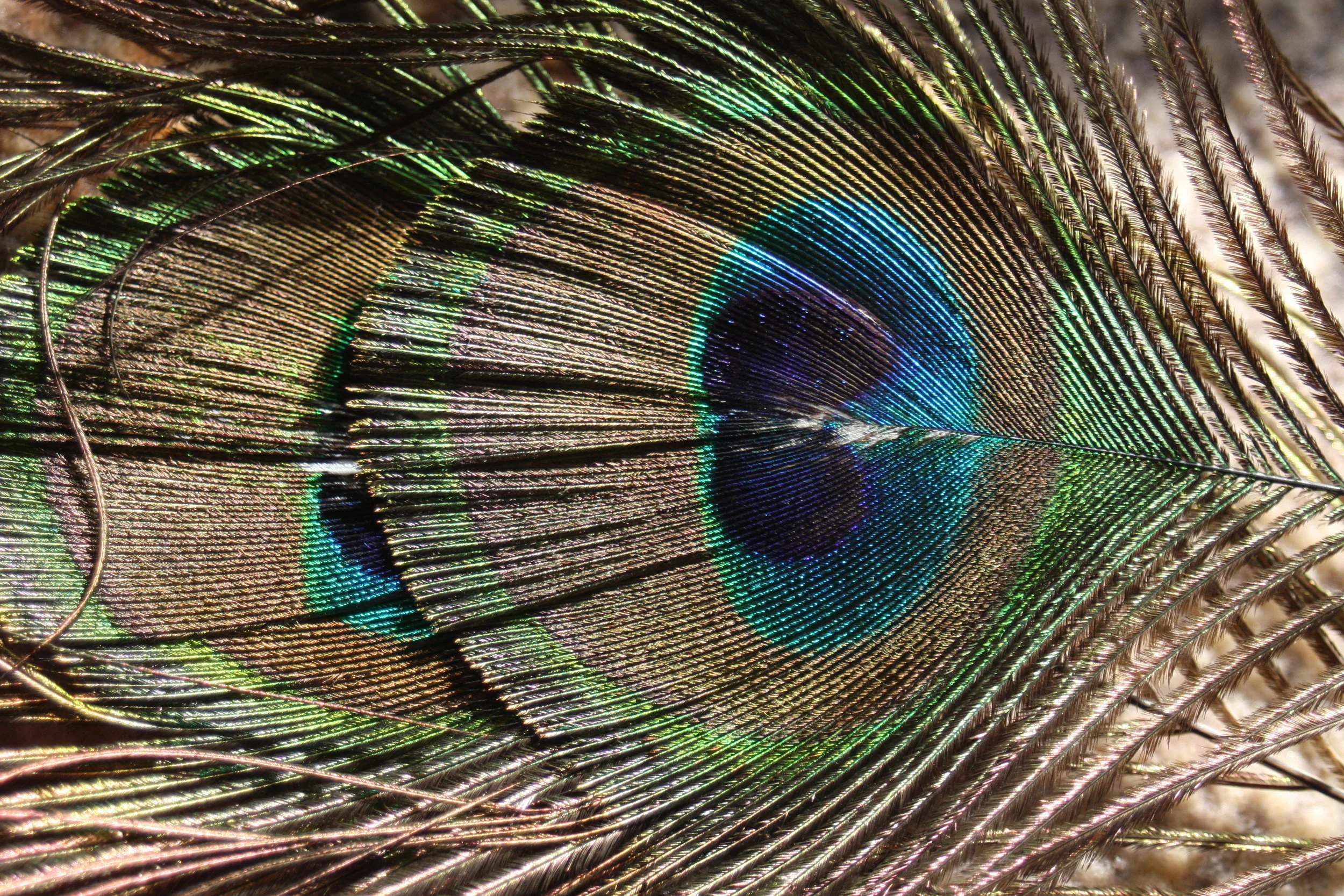 AC- CONTACT PAGE.jpeg