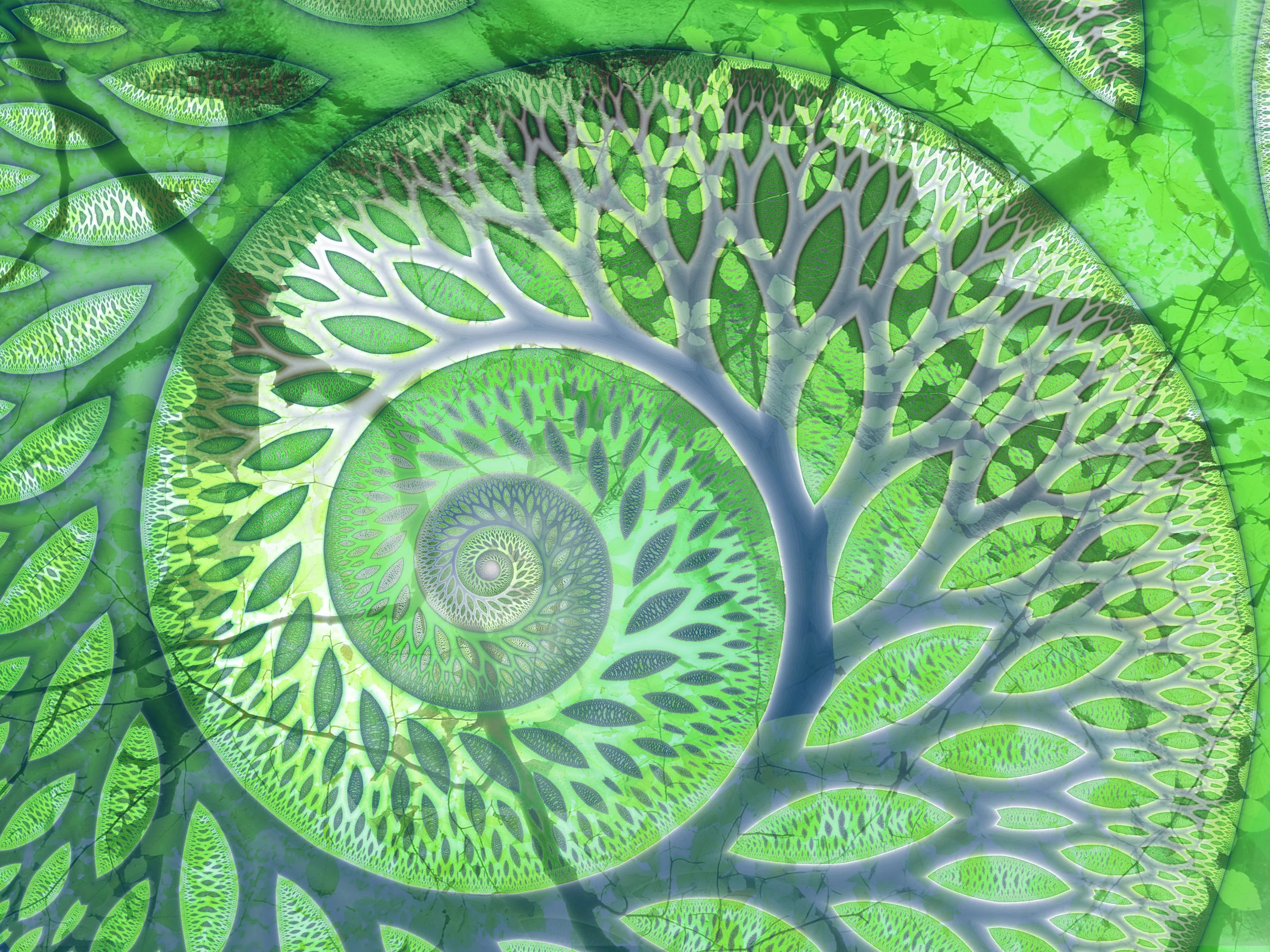 Nature's Relationships to Guide Us