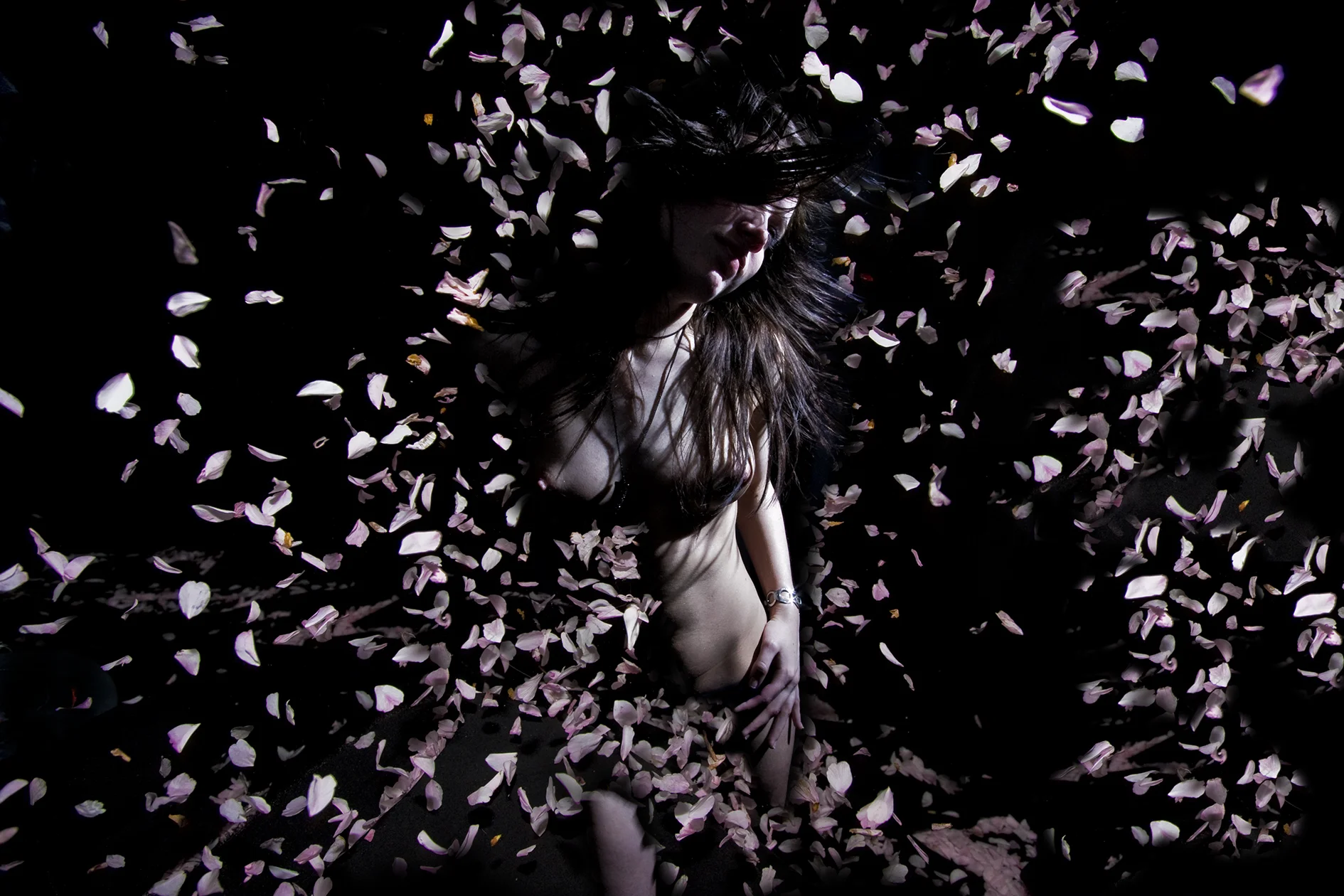 Vicky - Movement project (petals)