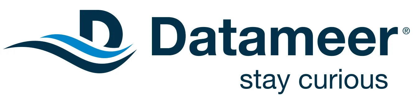 DatameerLogo_RGB2.jpg