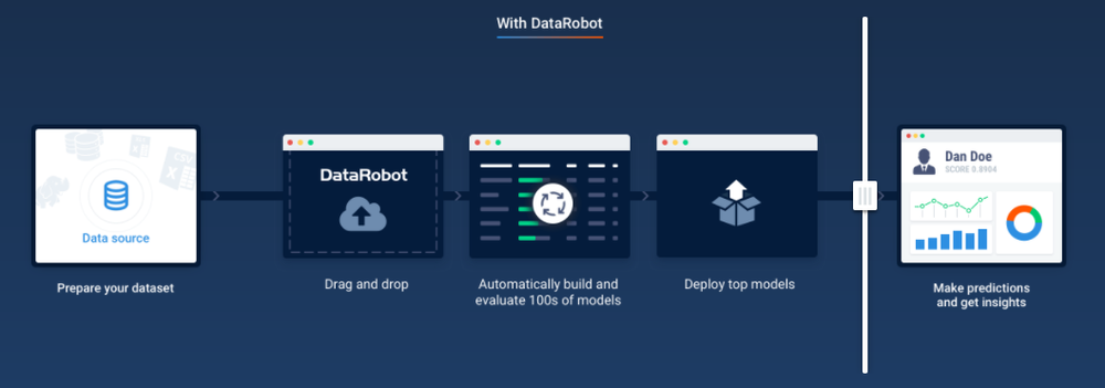 Wit Datarobot Consulting