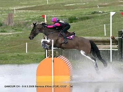 Gamour CH competed in the Beijing 2008 Olympics - Hong Kong
