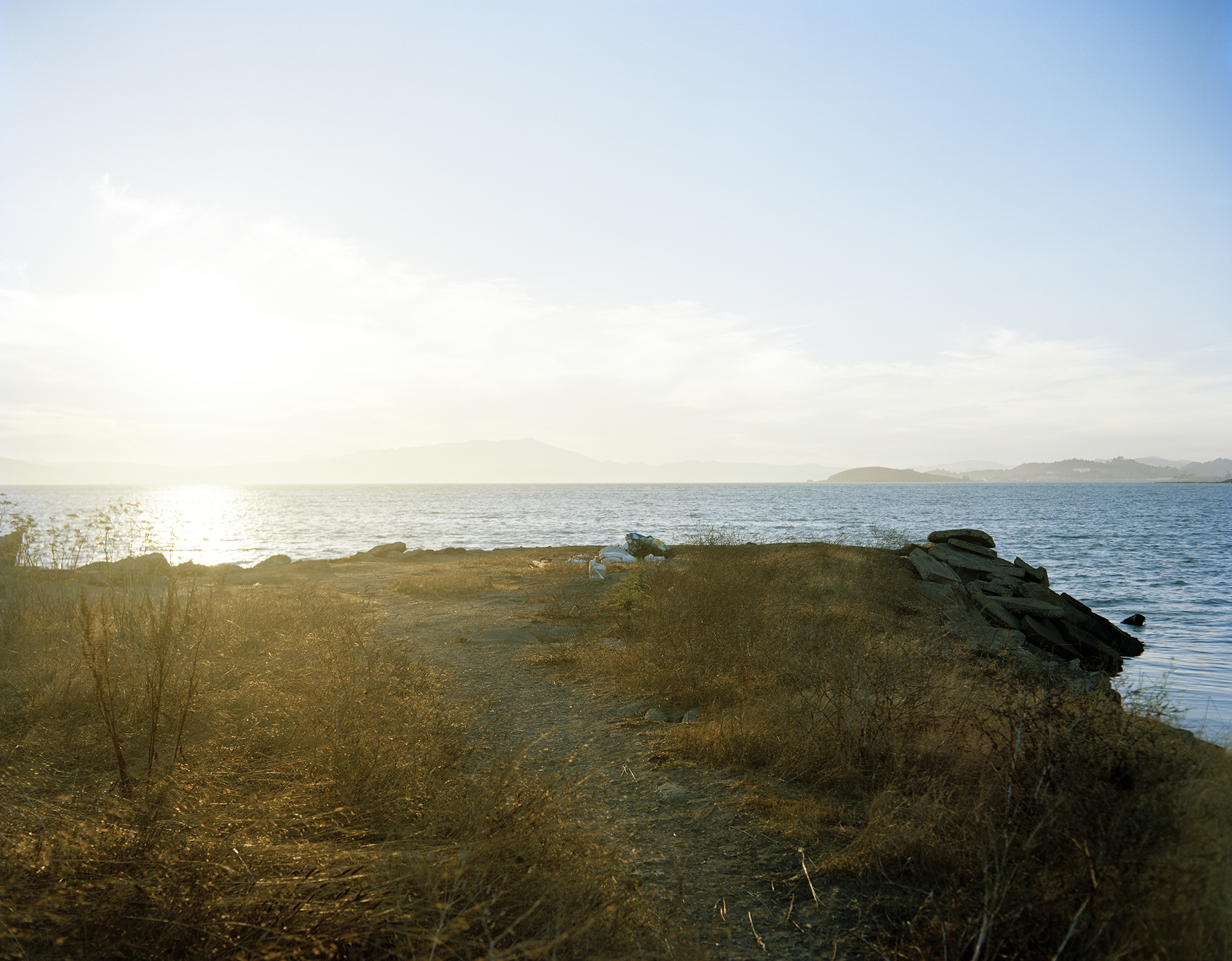 Bayside Landscape