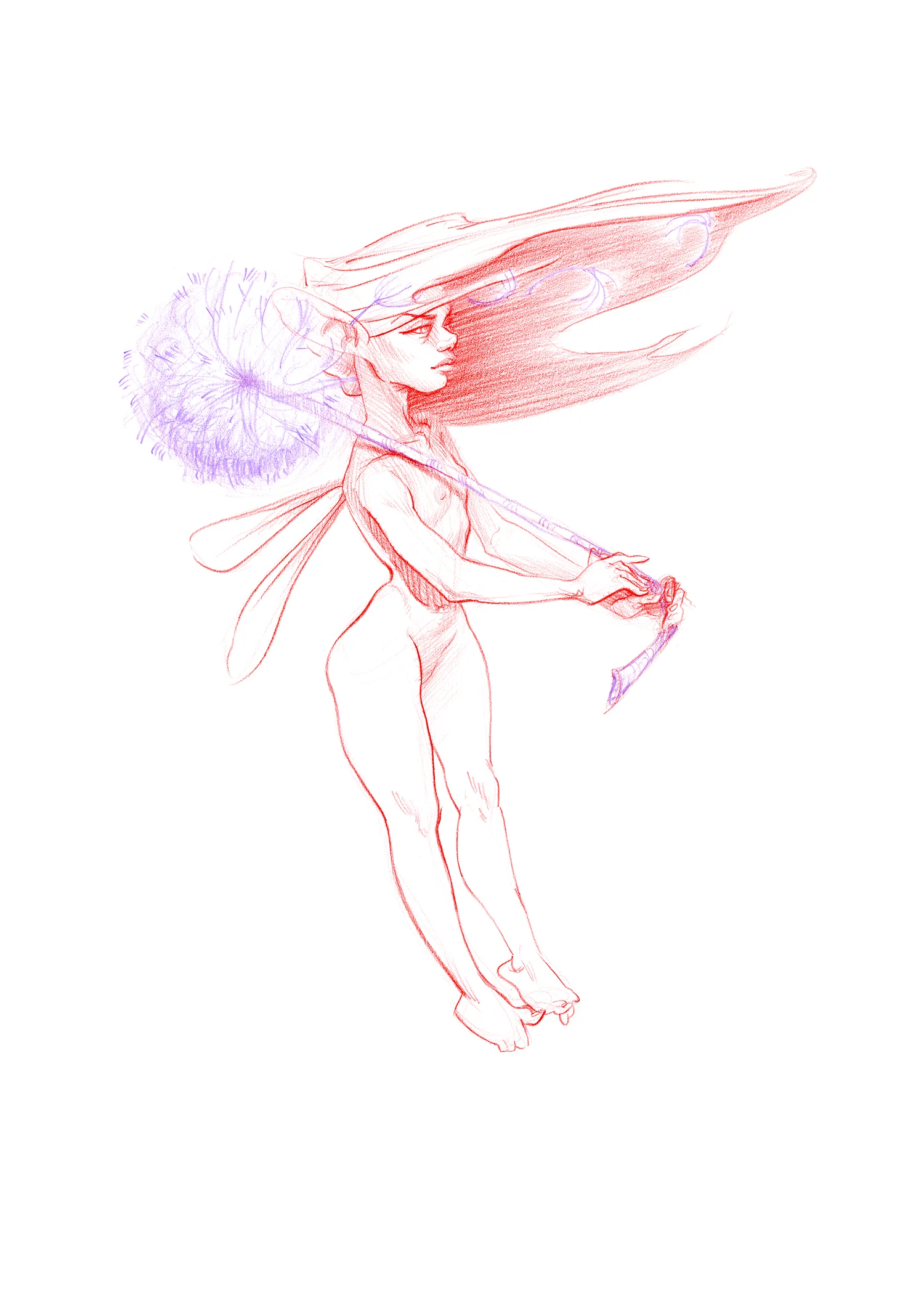 Dandelion