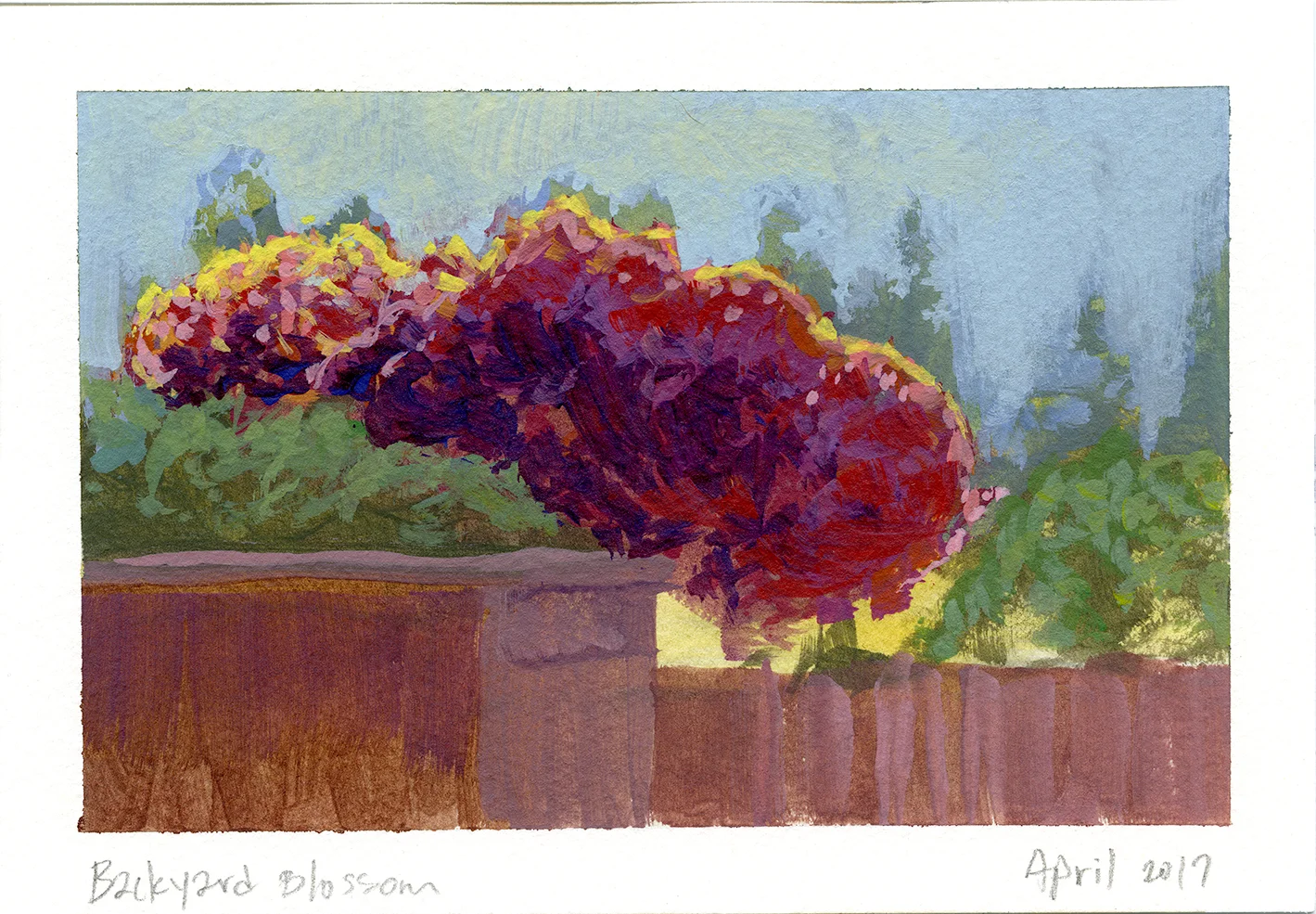 Backyard Blossom