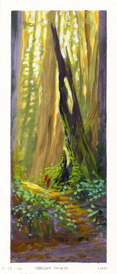 Sequoia Park 02