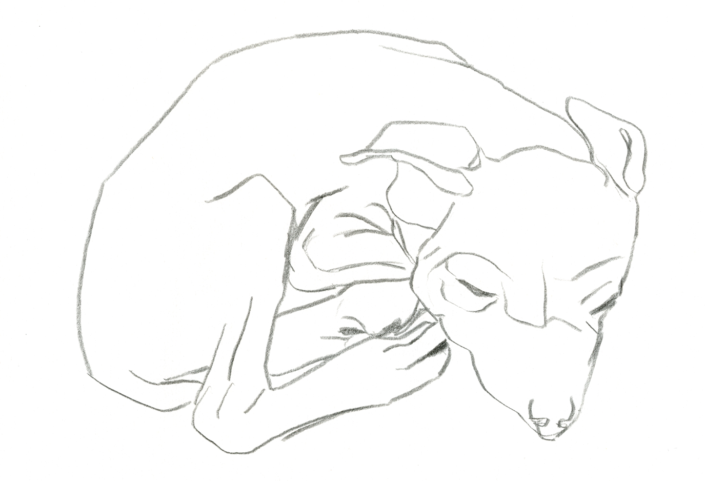 bigby.jpg
