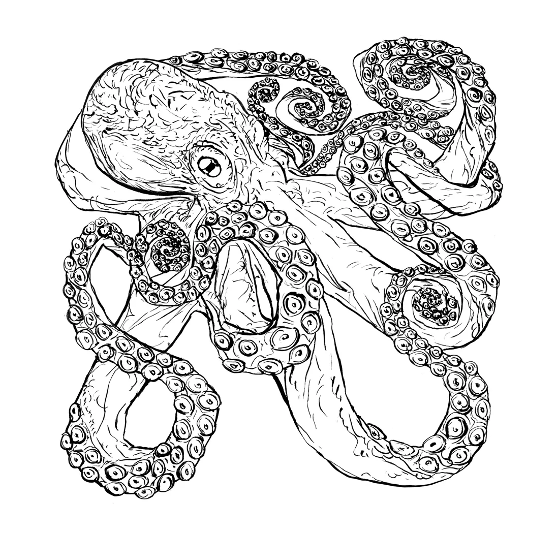 Inky-Octopus.jpg