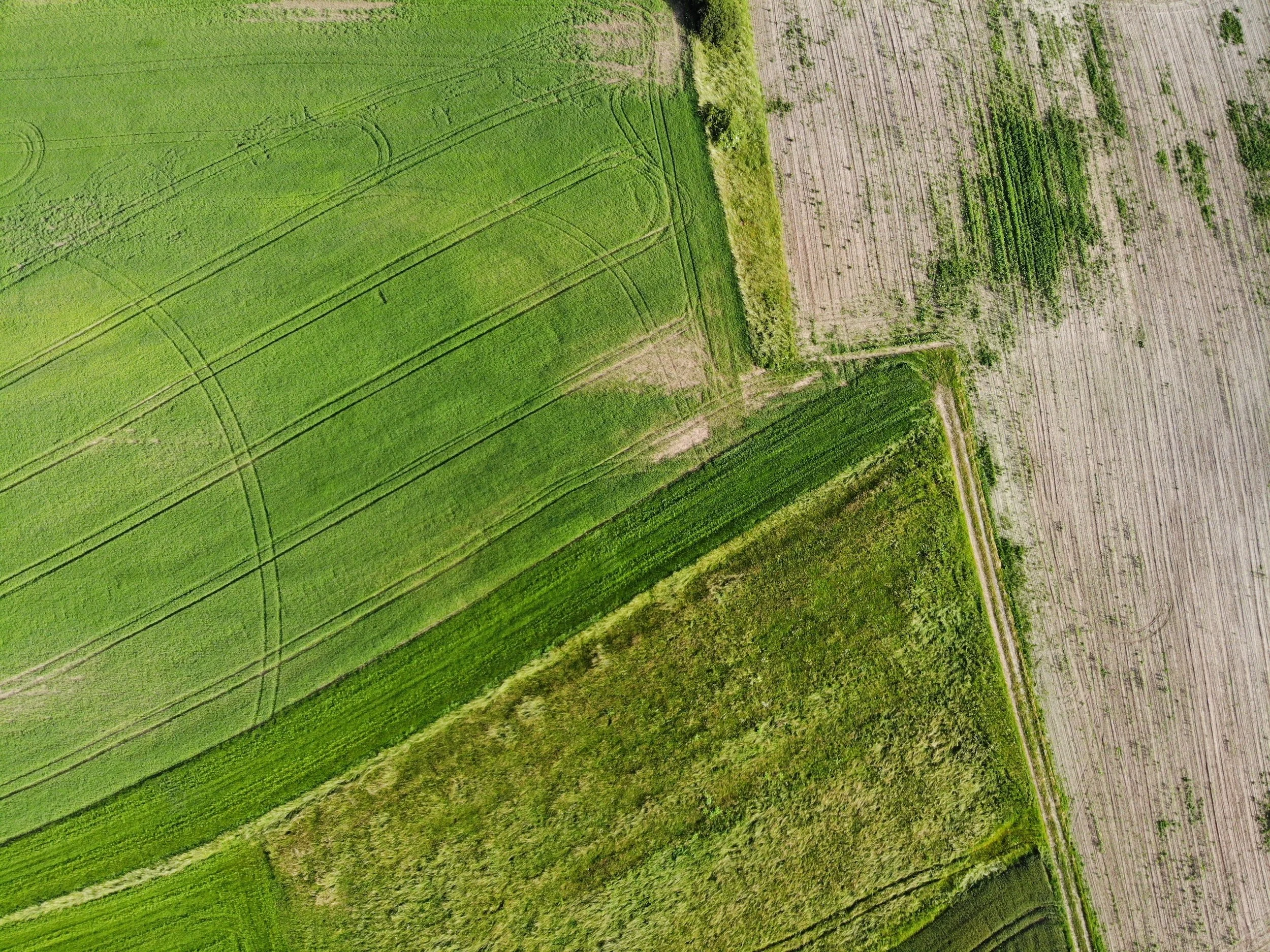 Improved vs Unimproved Land: A Comprehensive Guide to Making the Right ...