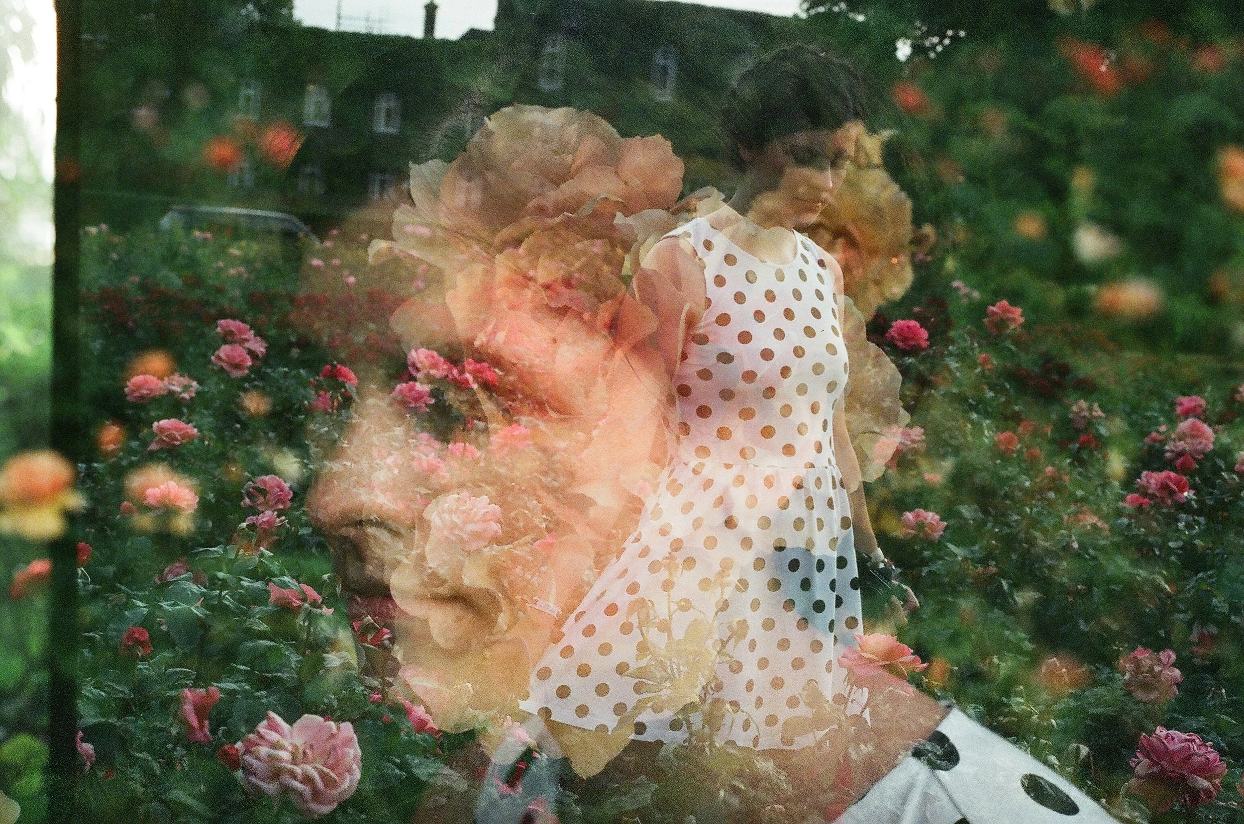  Lorena in the flowers  Queen's gardens, London, 2014  In camera double exposure, 35mm 