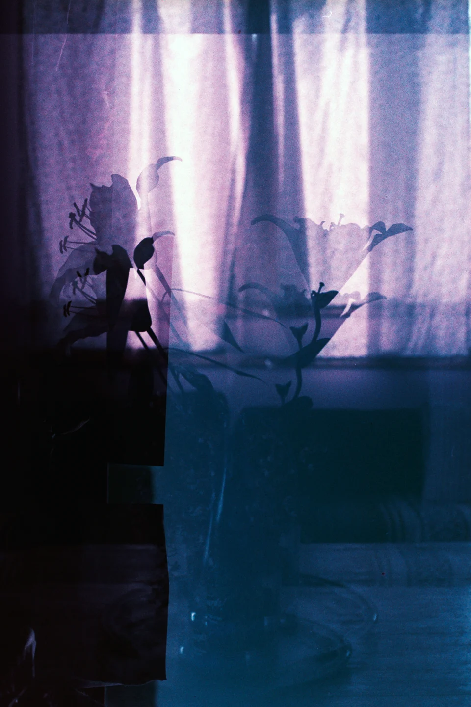 Flowers/Bonnie’s Studio Joshua Tree, CA September, 2016 In-camera multiple exposure, Lomochrome purple, 35mm
