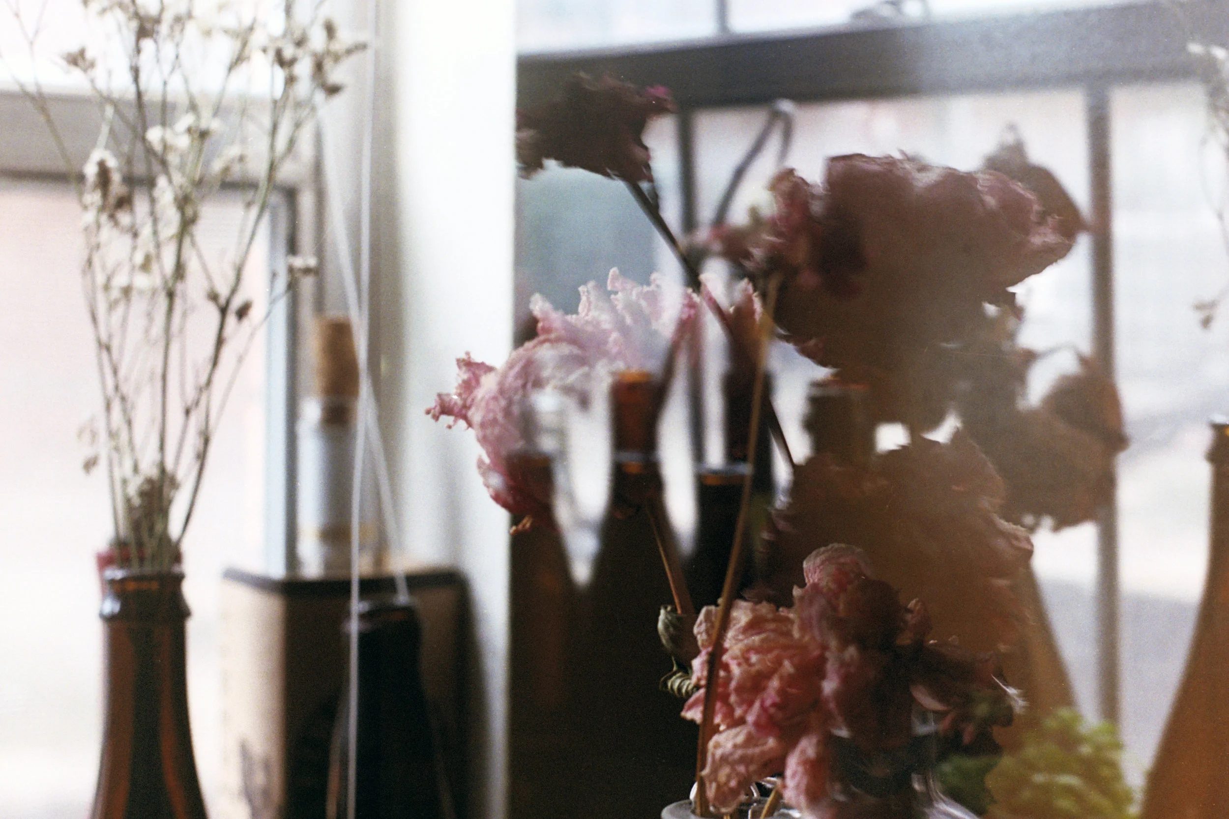 Dead flowers in your beer bottles Dallas, TX November, 2016 In-camera multiple exposure, 35mm