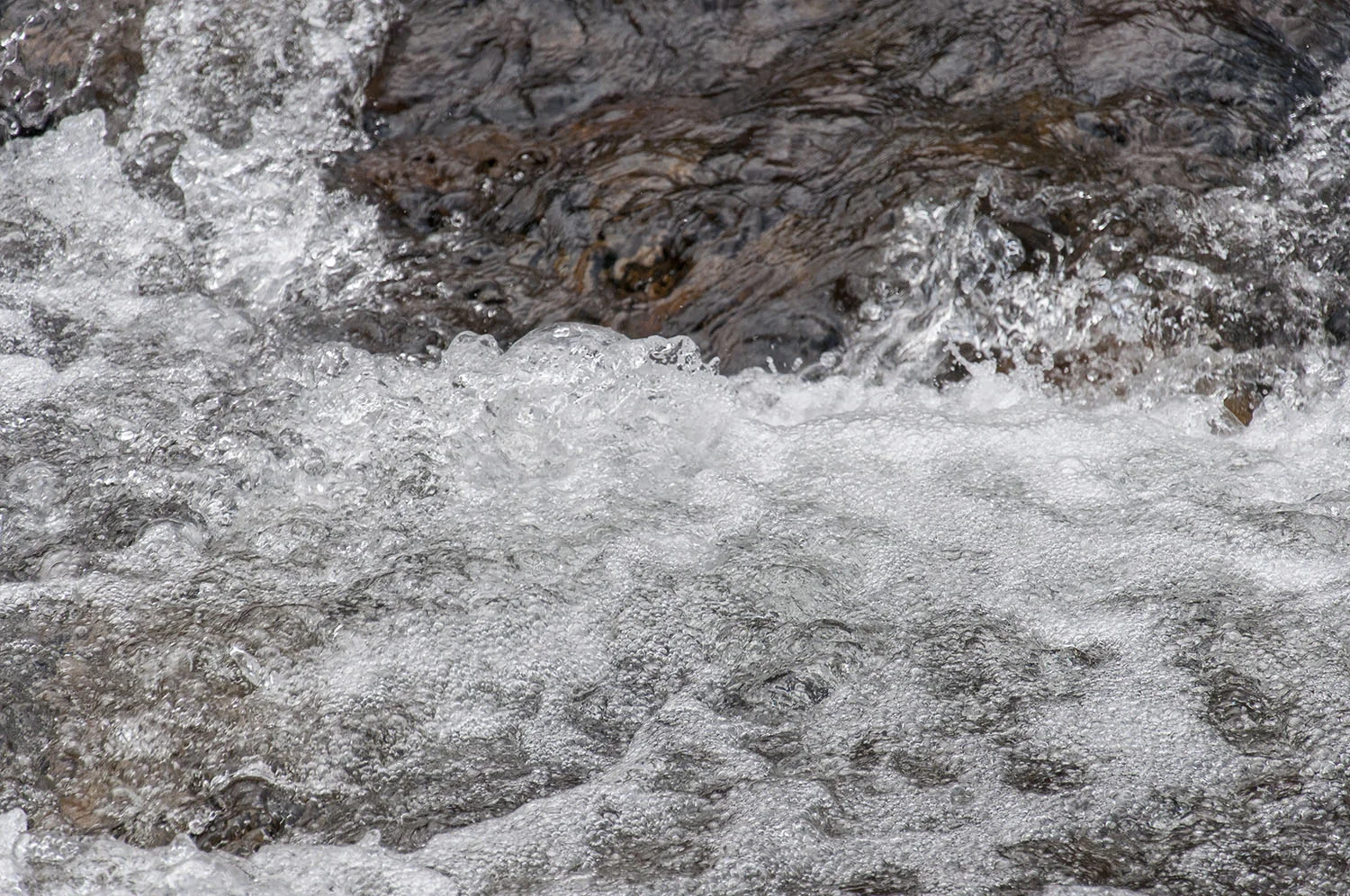 Cascades creek splash.jpg
