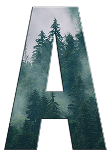 A@0,33x.png