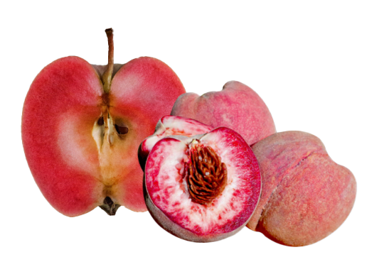 Apples and pears part of pink collagen complex