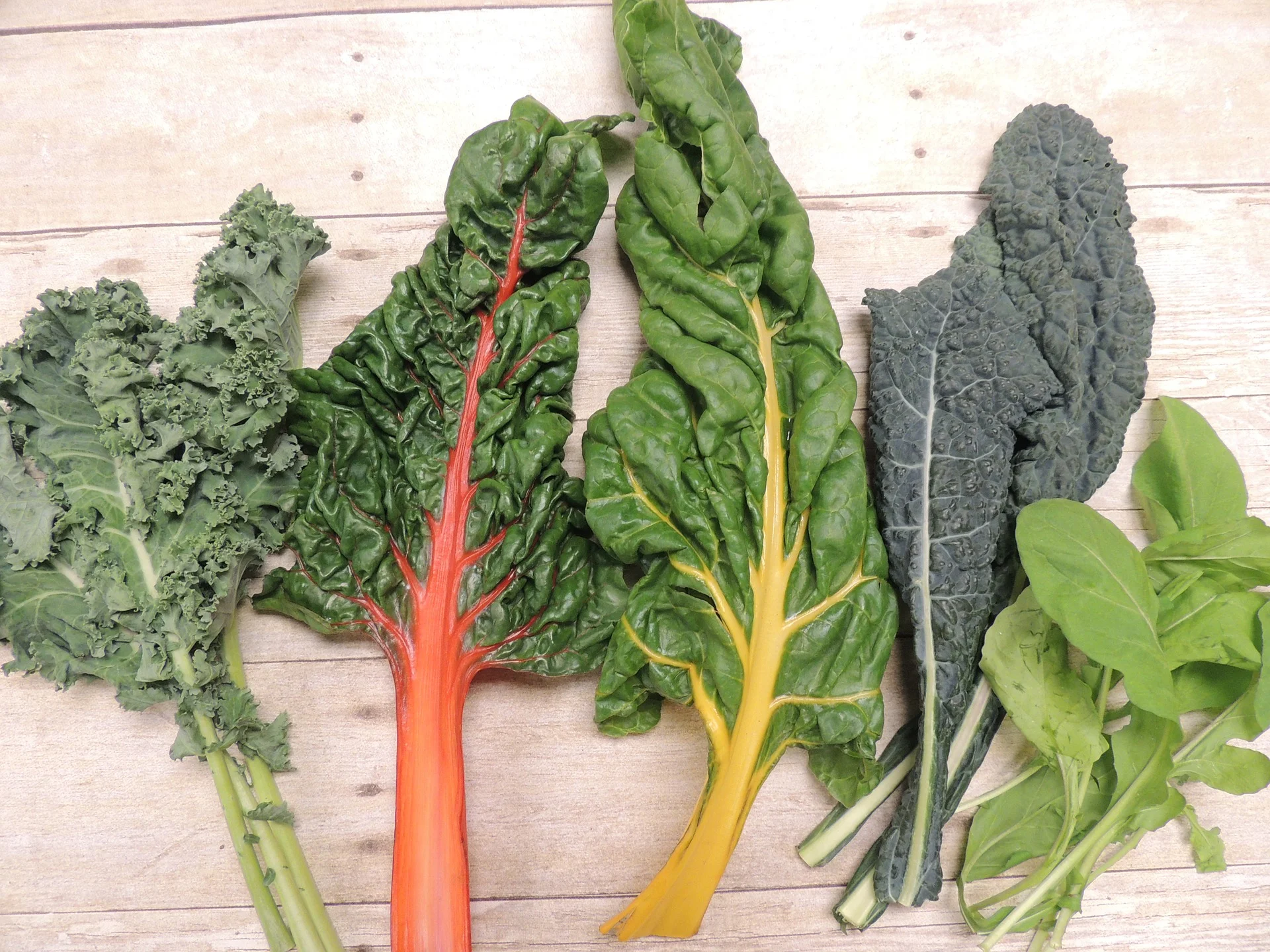 kale-1775809_1920.jpg