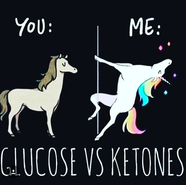 warrior unicorn keto diet warrior unicorn keto diet