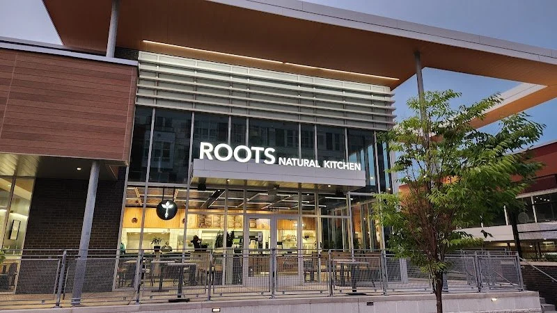 Roots 2.jpg