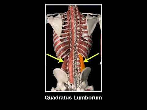 back pain relief acupuncture longmont