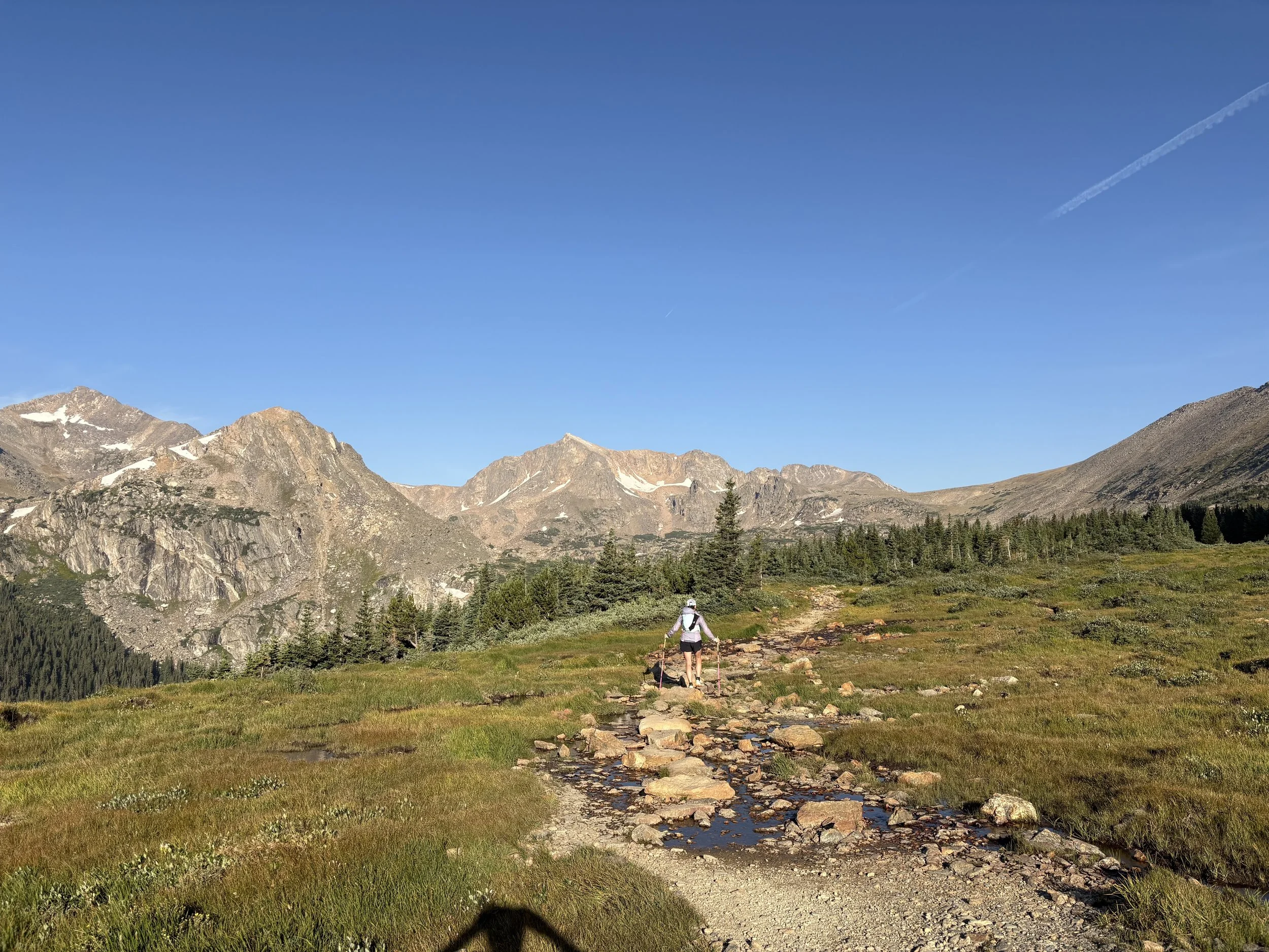 Acupuncture for Spring Allergies in Longmont, Colorado: Natural Relief That Works