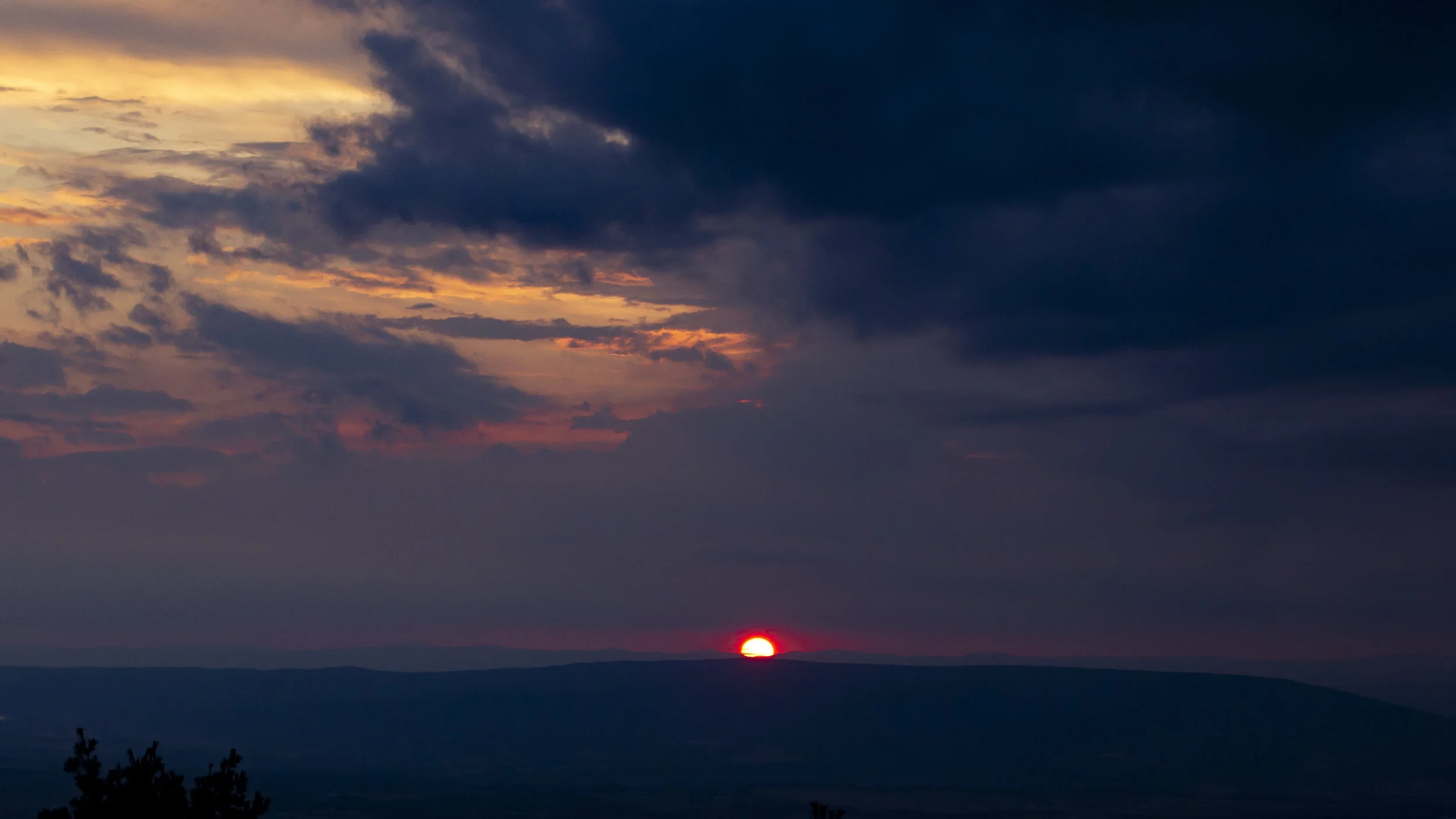 _MG_7575.jpg