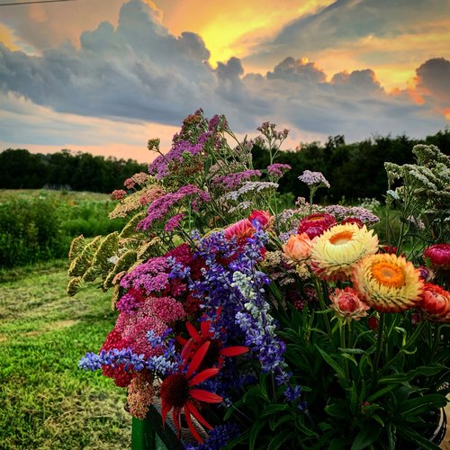 Offerings Flower Hill Farm Offerings Flower Hill Farm