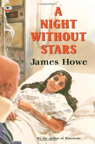 A Night without Stars.jpg