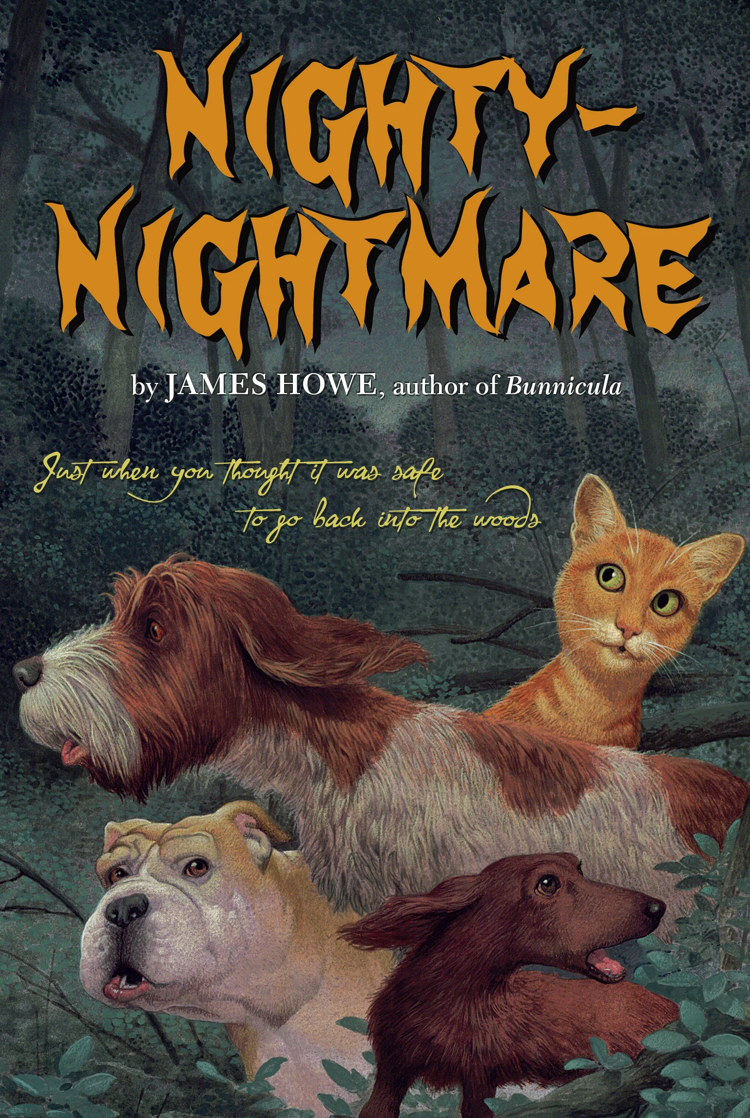 Nighty-Nightmare 