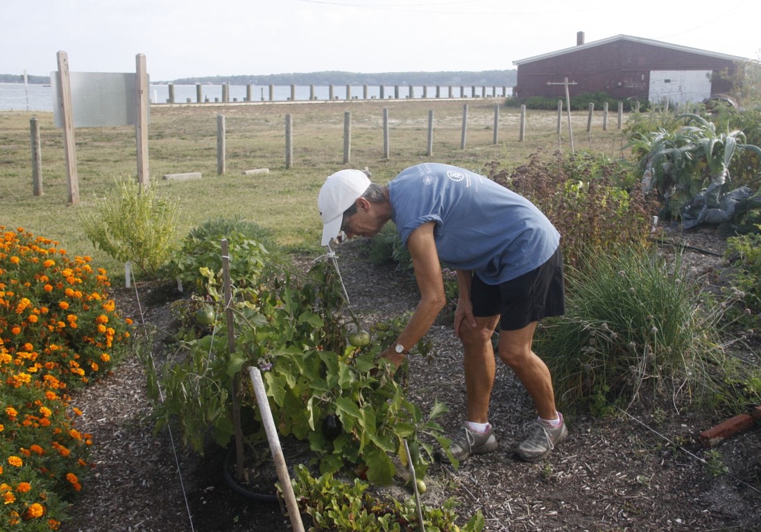 garden7.jpg